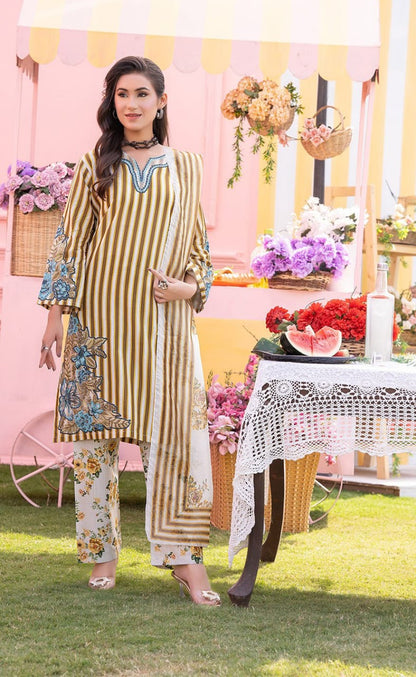 Rich Brown Kurta -004